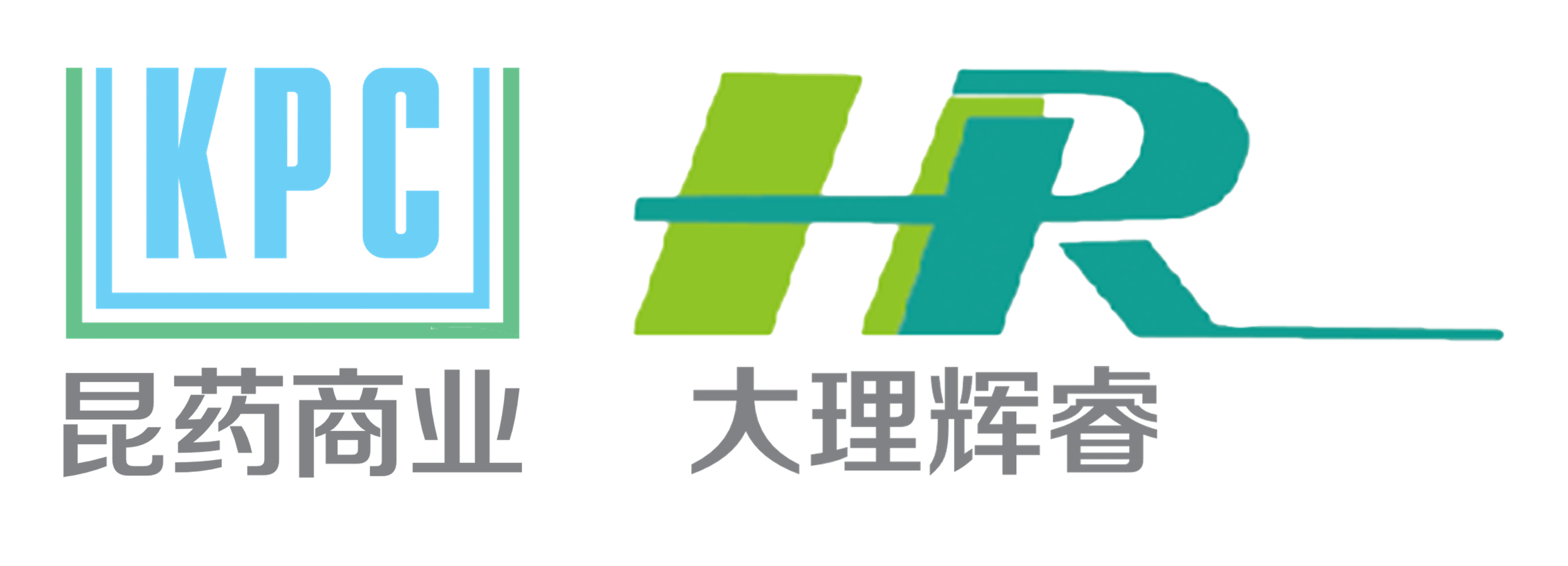 大理輝睿藥業(yè)有限公司簡(jiǎn)介